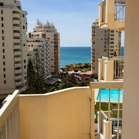 Vendégház Colmeia- Local